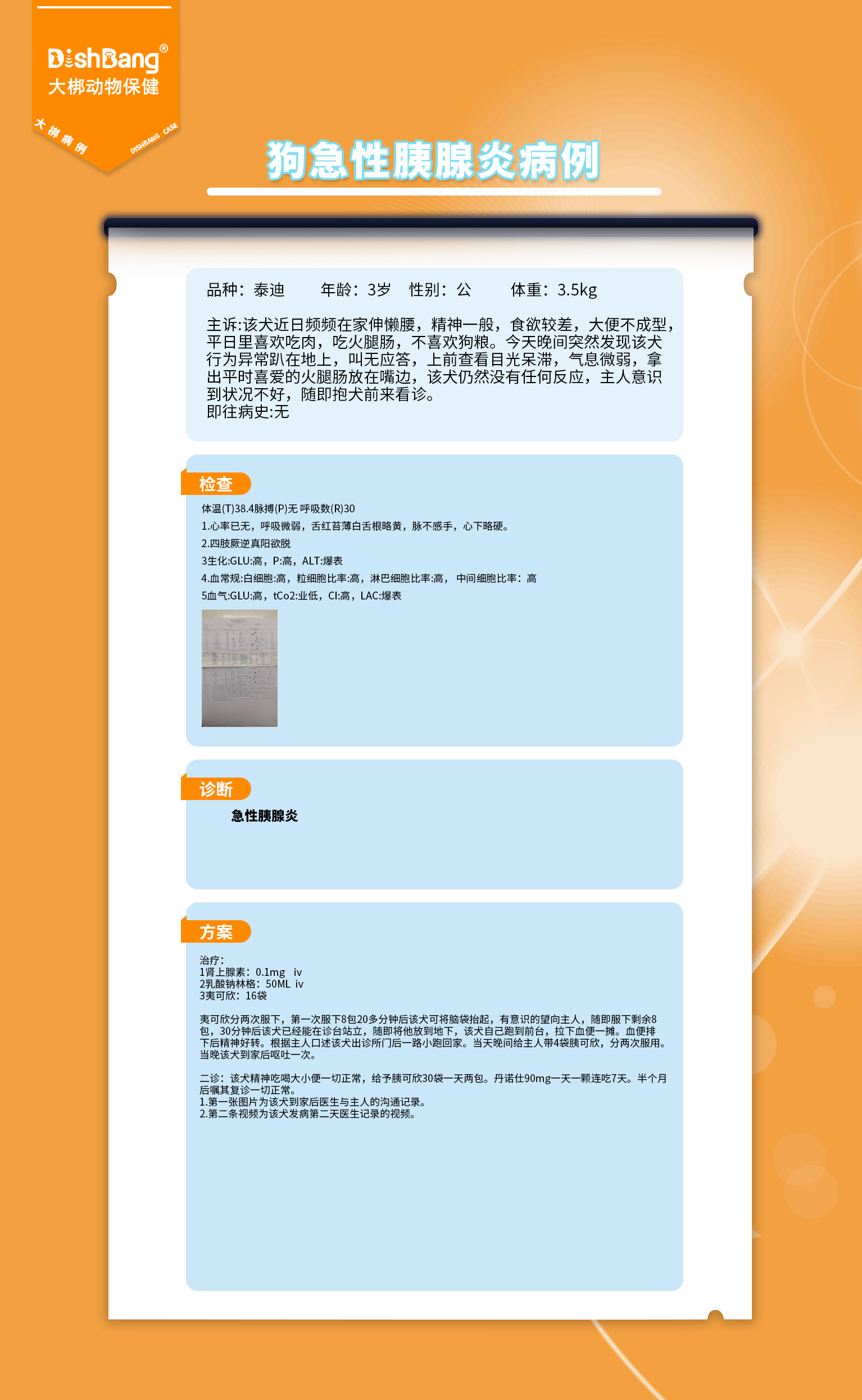 1723699819849313.png 狗急性胰腺炎病例.png
